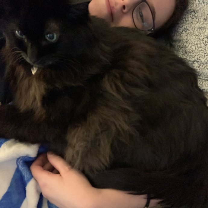Med-Certified  Shy Cat Care By Amber