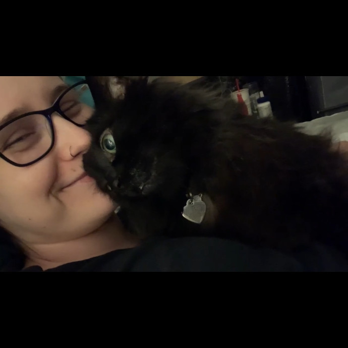 Med-Certified  Shy Cat Care By Amber