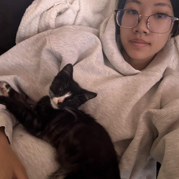 Meowastic Friend 