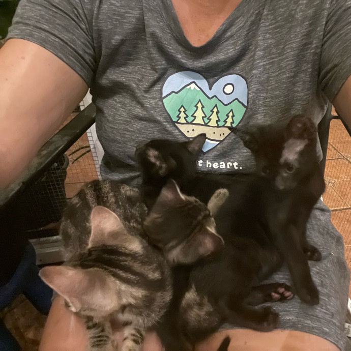 Chatty Cat Mom