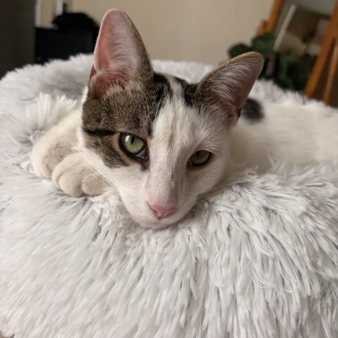 Ellie B.
