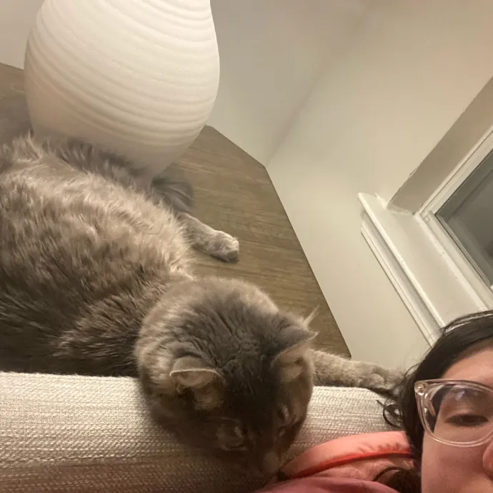 Cranky Kitties Fan Club photo 4