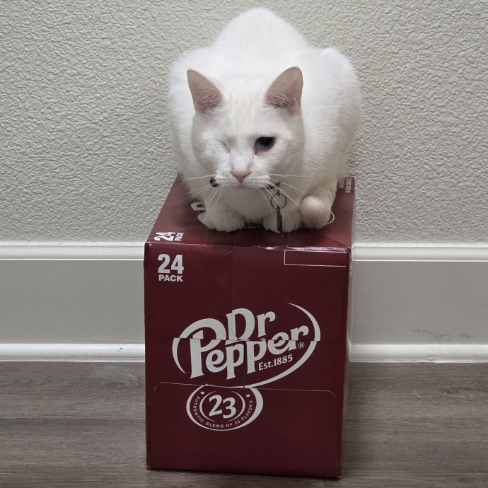 Attentive Care For Your Furry Family photo 3