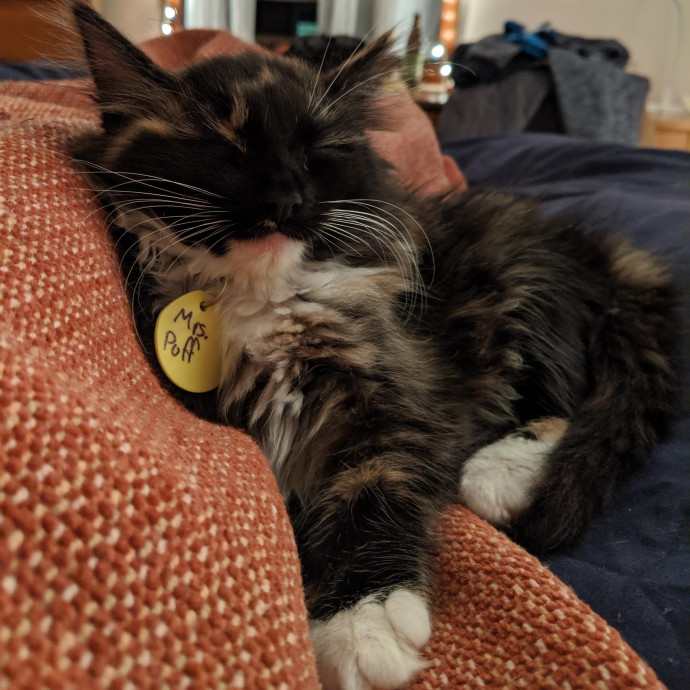 Em's Little Beans