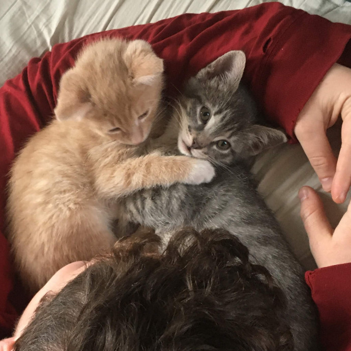 Em's Little Beans