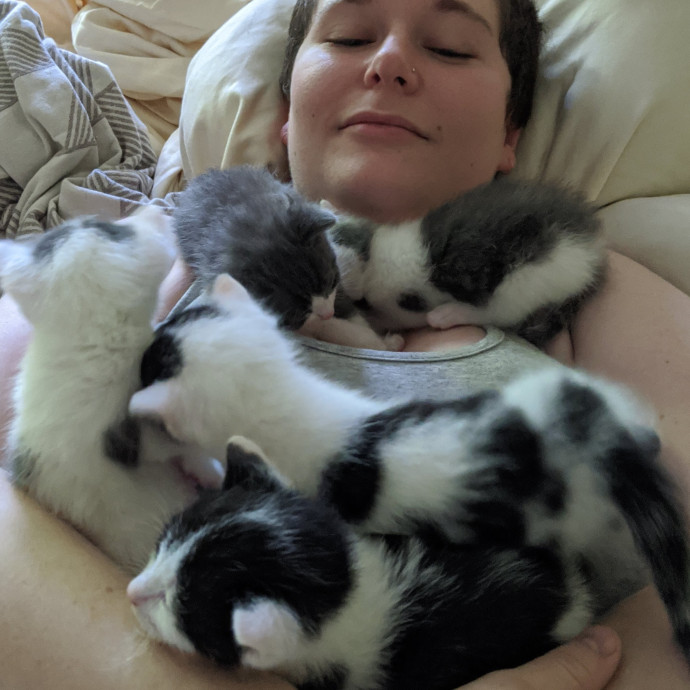Em's Little Beans