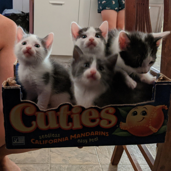 Em's Little Beans