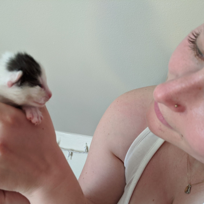 Em's Little Beans
