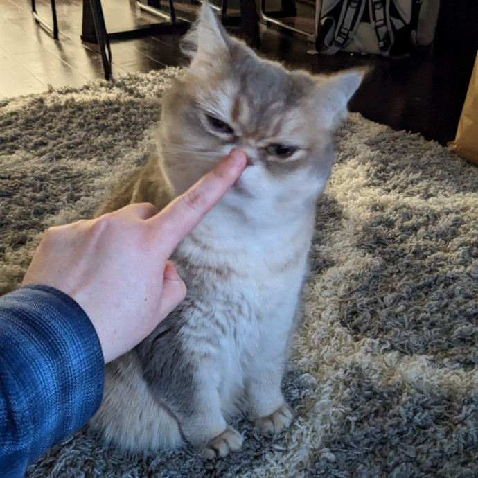 Em's Little Beans