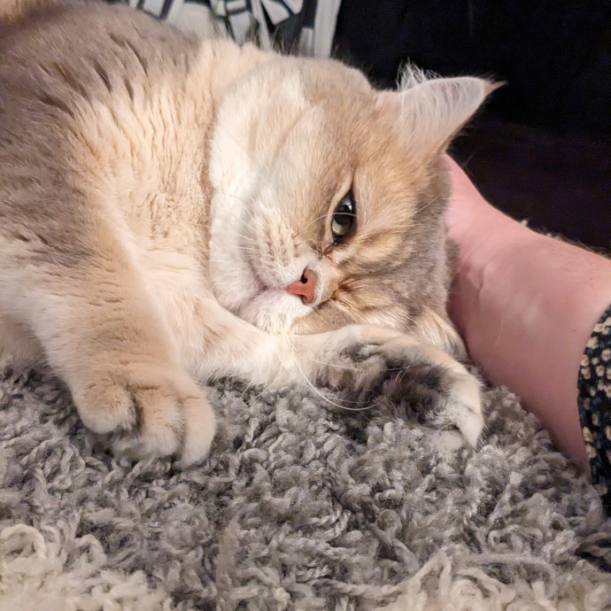 Em's Little Beans