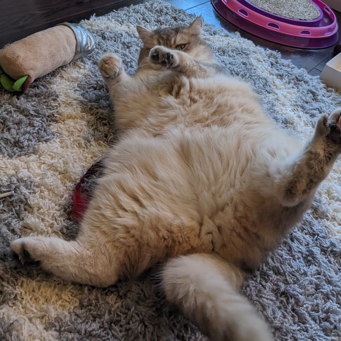 Em's Little Beans