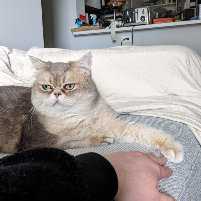 Em's Little Beans