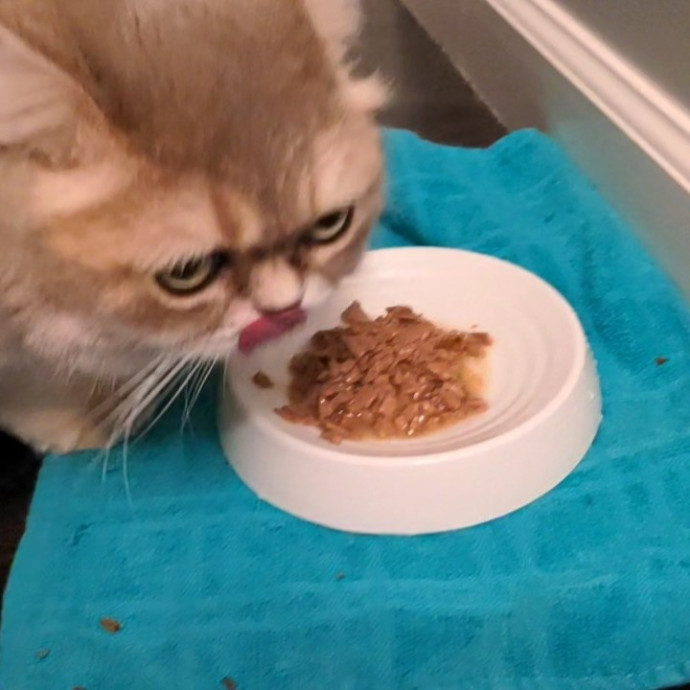 Em's Little Beans