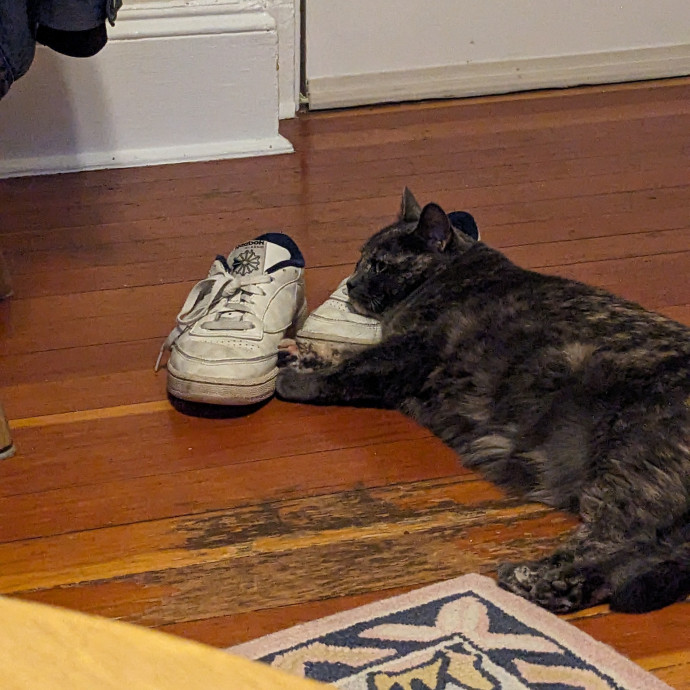Em's Little Beans