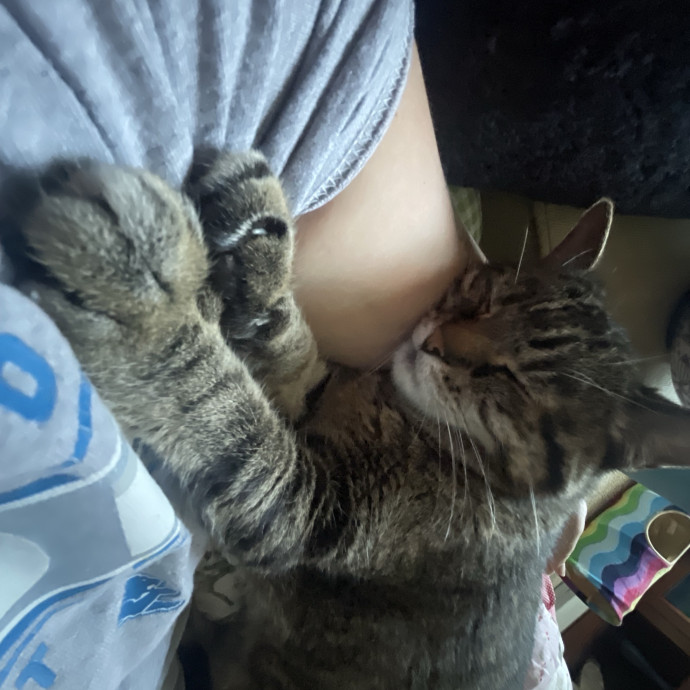 Crazy Cat Lady