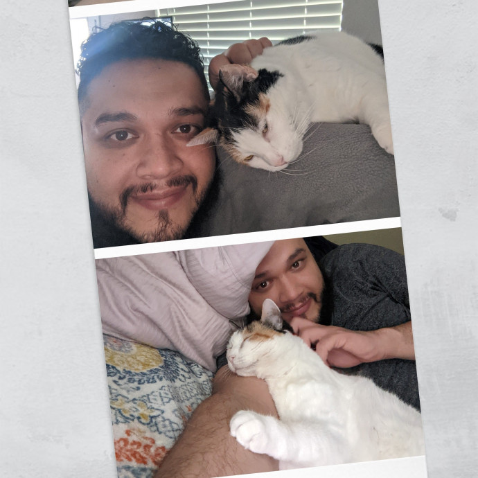 Calm Reliable Cat Whisperer