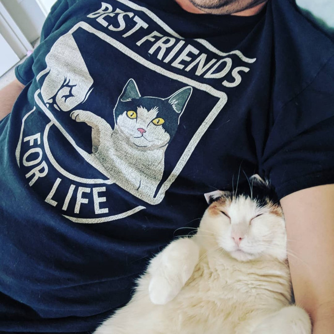 Calm Reliable Cat Whisperer