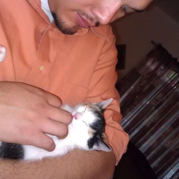 Calm Reliable Cat Whisperer