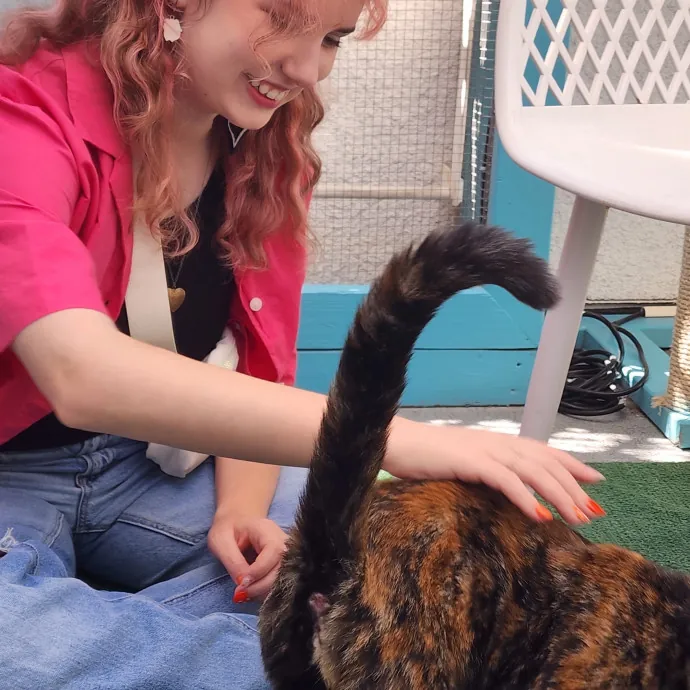 Cat Sitting With Maya