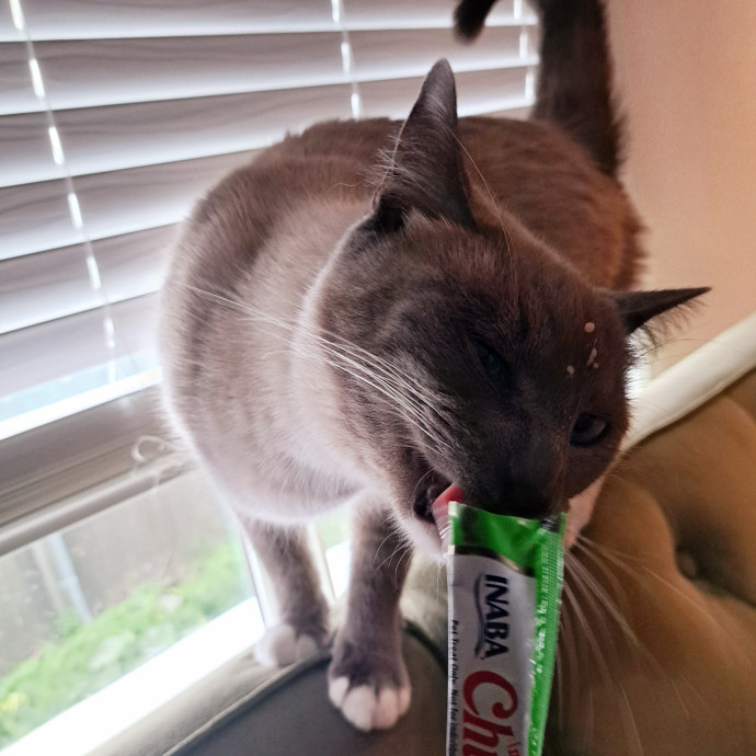 Furtastic Meow Meow Care photo 2