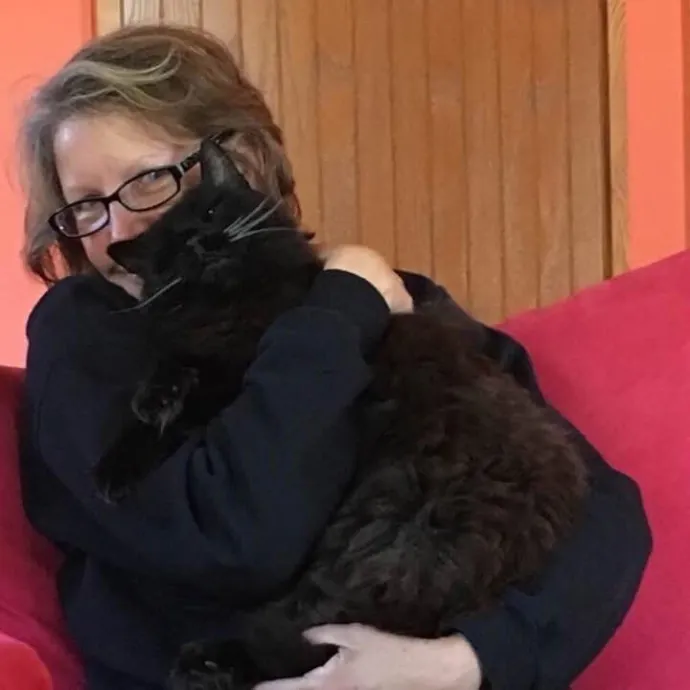 Diana's Contented Cat Sitting Of Sussex