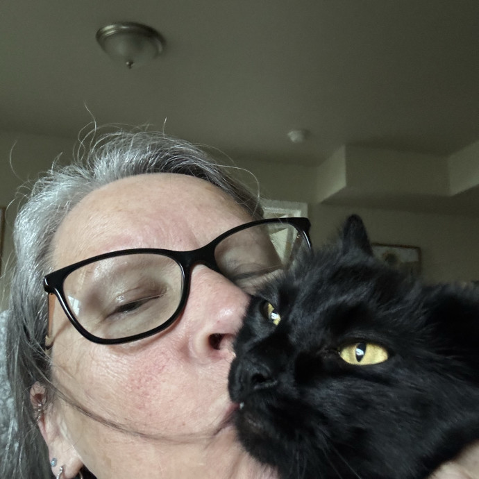 Diana's Contented Cat Sitting Of Sussex