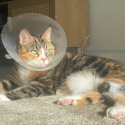 Photo #5
