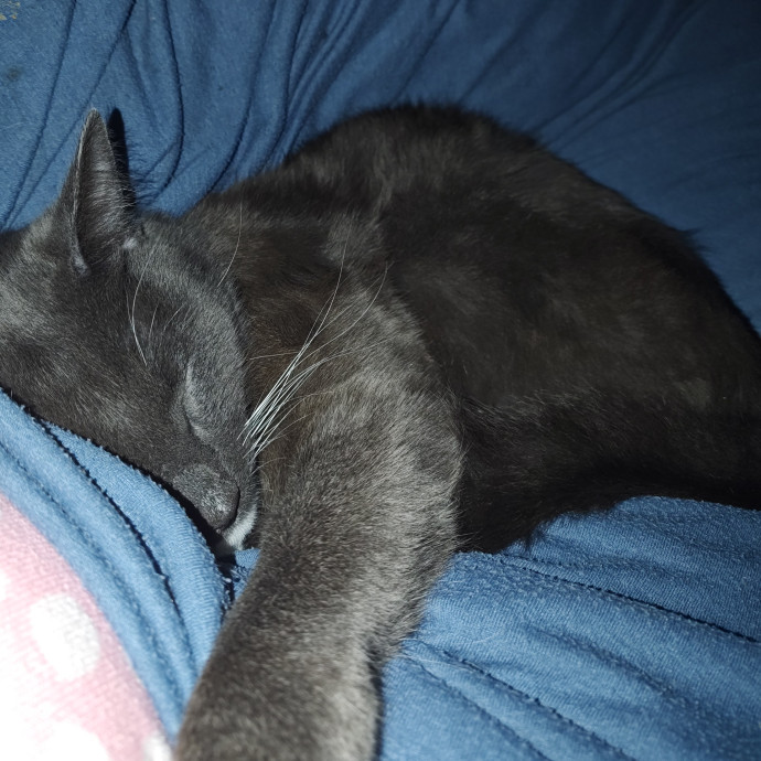 Aeryn