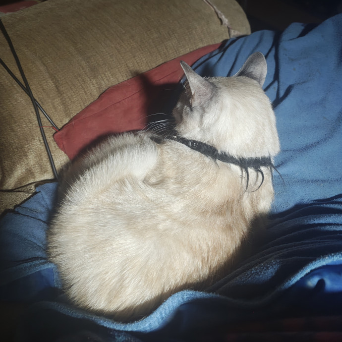 Aeryn photo 2