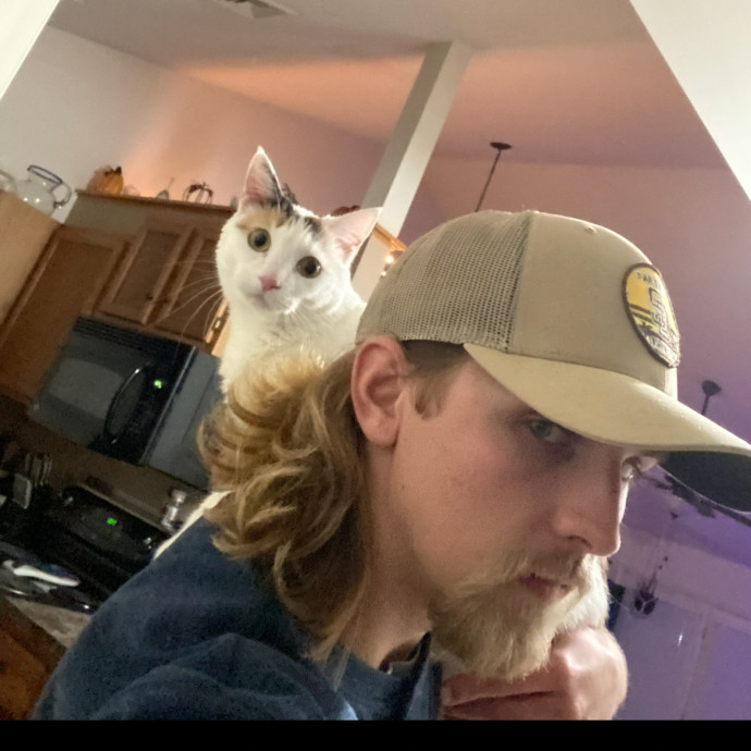 Your Cat's New Best Friend