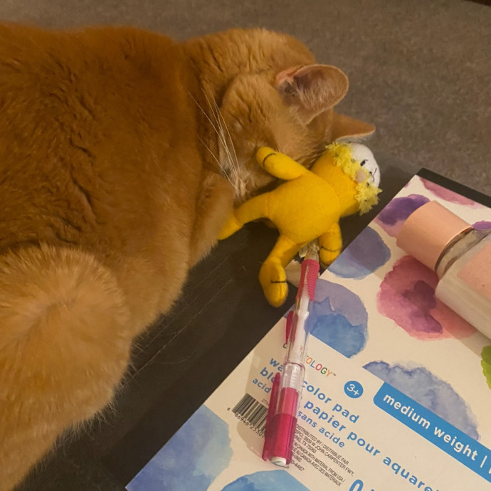 Your Cat's New Best Friend