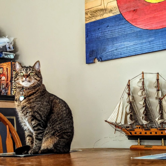 Heather's Humane Kitty Care
