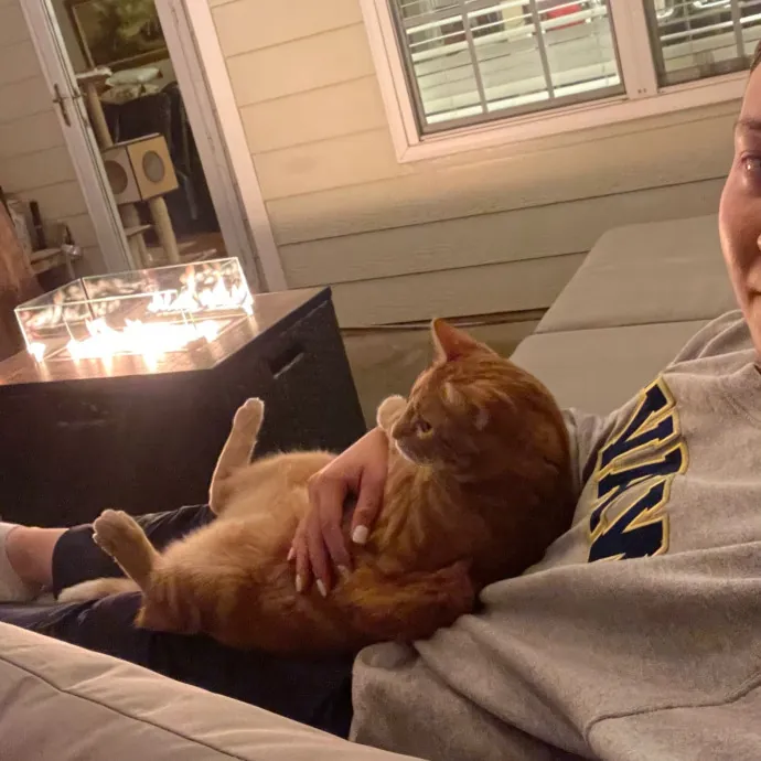 Reliable Caring Sitter