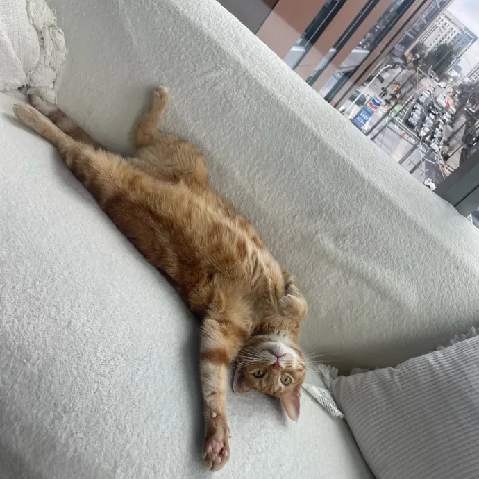 Reliable Caring Sitter photo 3