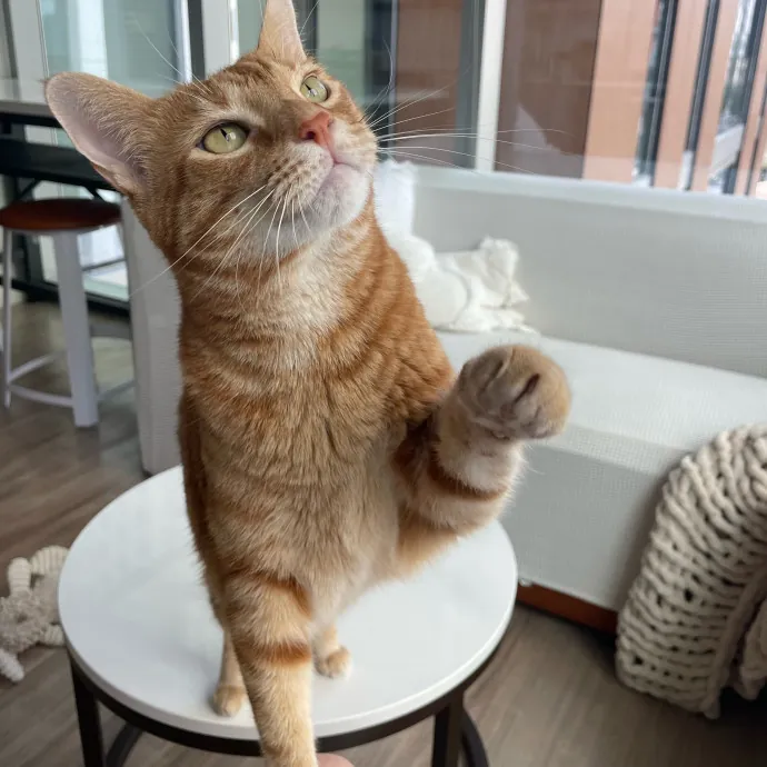 Reliable Caring Sitter photo 2