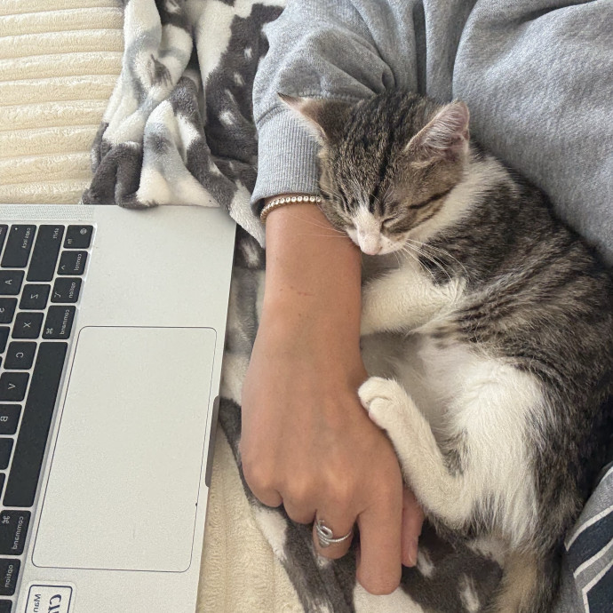 Reliable And Loving Cat Sitter photo 3