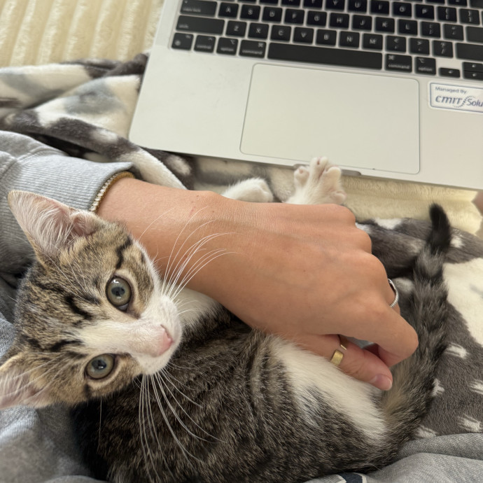 Reliable And Loving Cat Sitter photo 2