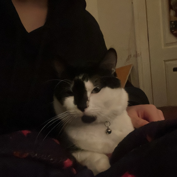 A Warm Heart For Cold Noses
