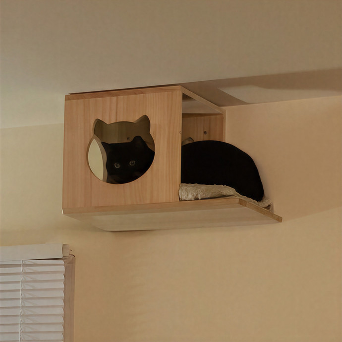 Sixteen Paws Cat Sitting