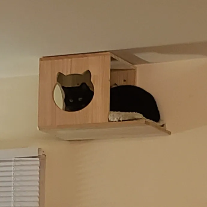 Sixteen Paws Cat Sitting