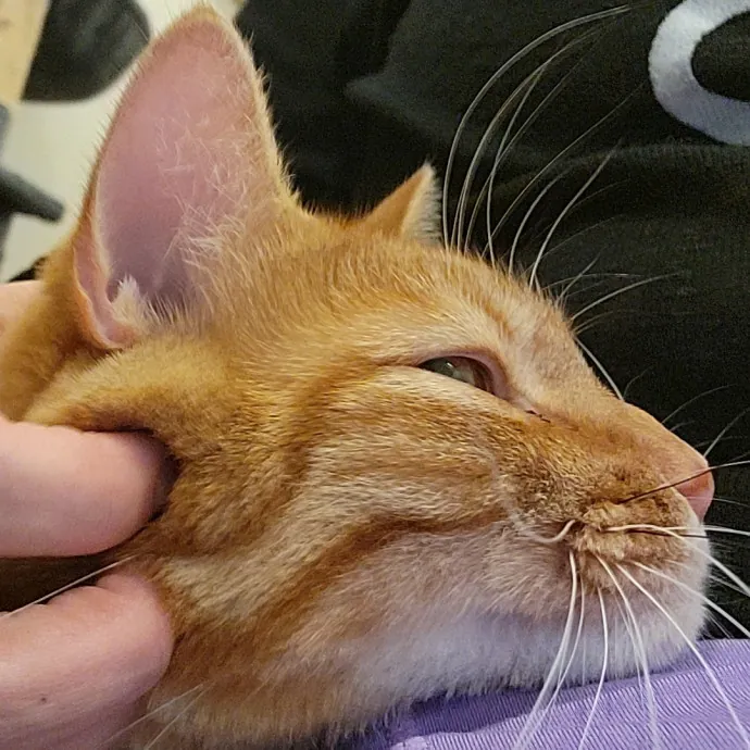 Cate B.