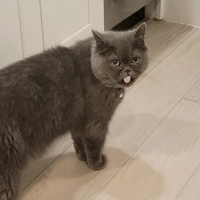 Cate B.