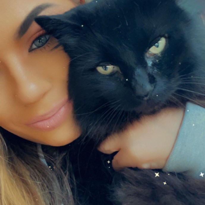 Purrfessional Cat Care While You're Away