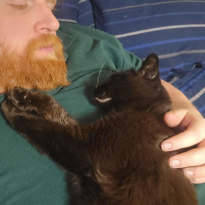 Big Human Man Cat Sitting