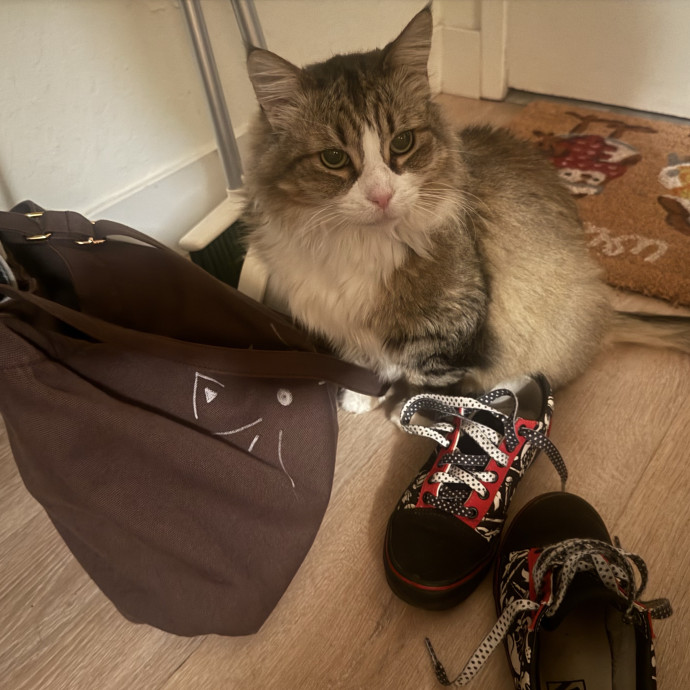Cat Lover Experienced With Medications