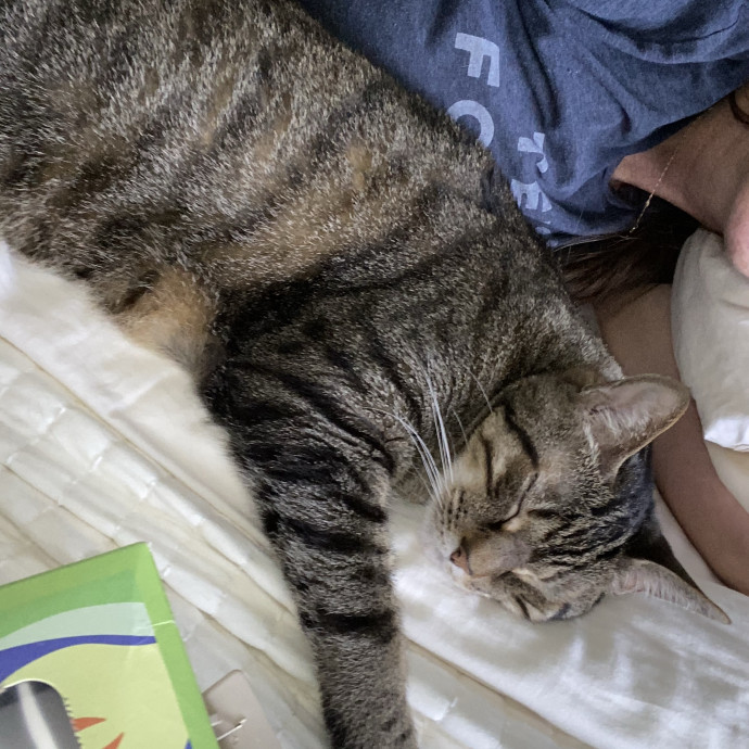 Trusted Care Happy Pets