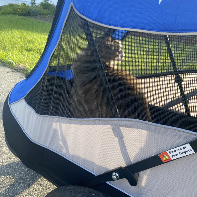 Trusted Care Happy Pets