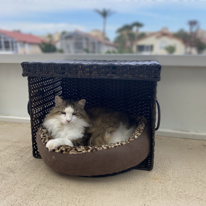 Trusted Care Happy Pets