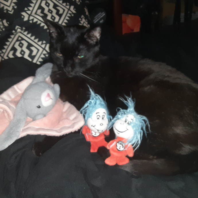 Purrfect Experienced Loving Cat Mama