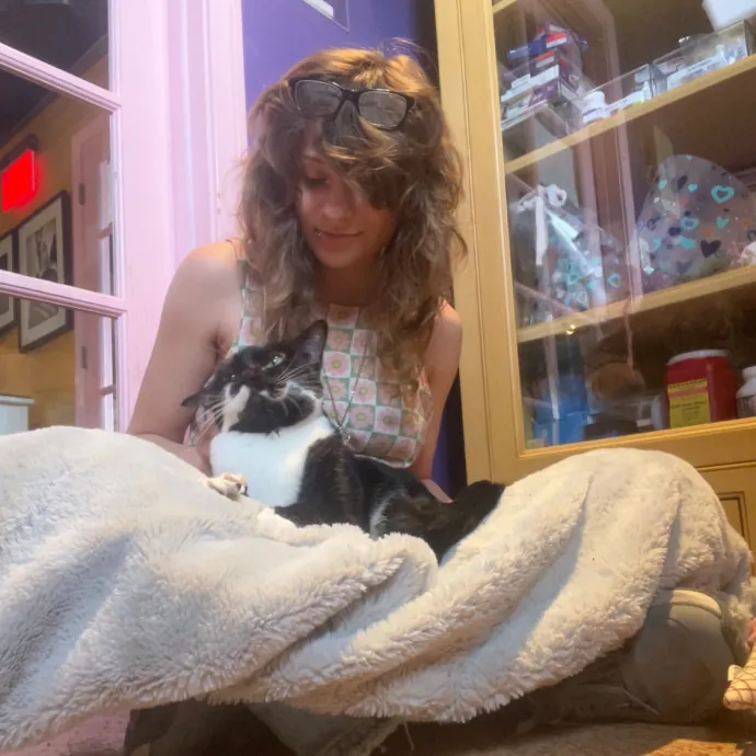 Adventures In Cat Sitting